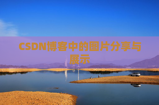 CSDN博客中的图片分享与展示